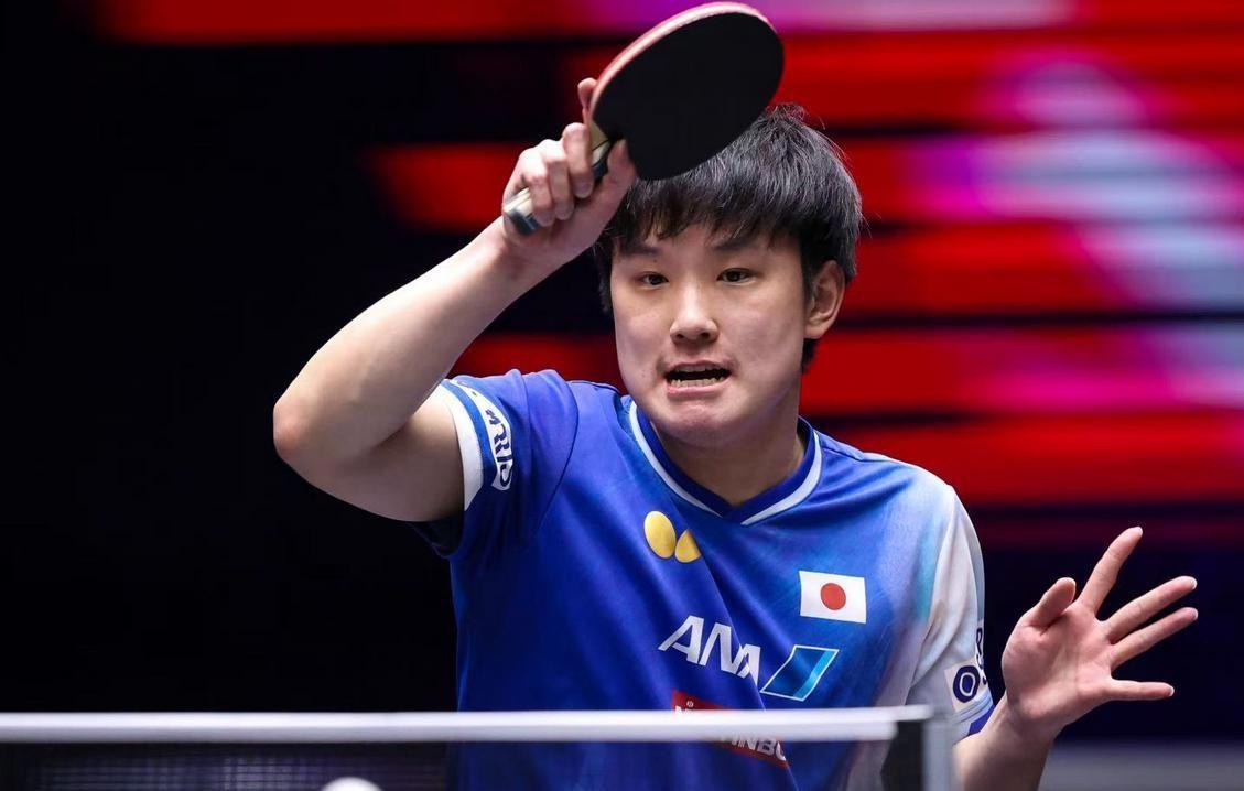 奥地利队横扫英格兰队，张本智和状态火热