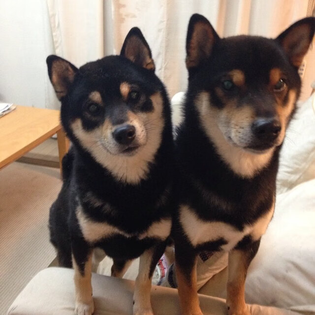 爱游戏官网-唯一性的篮球之夜，深圳鏖战天津，字母哥刷新纪录