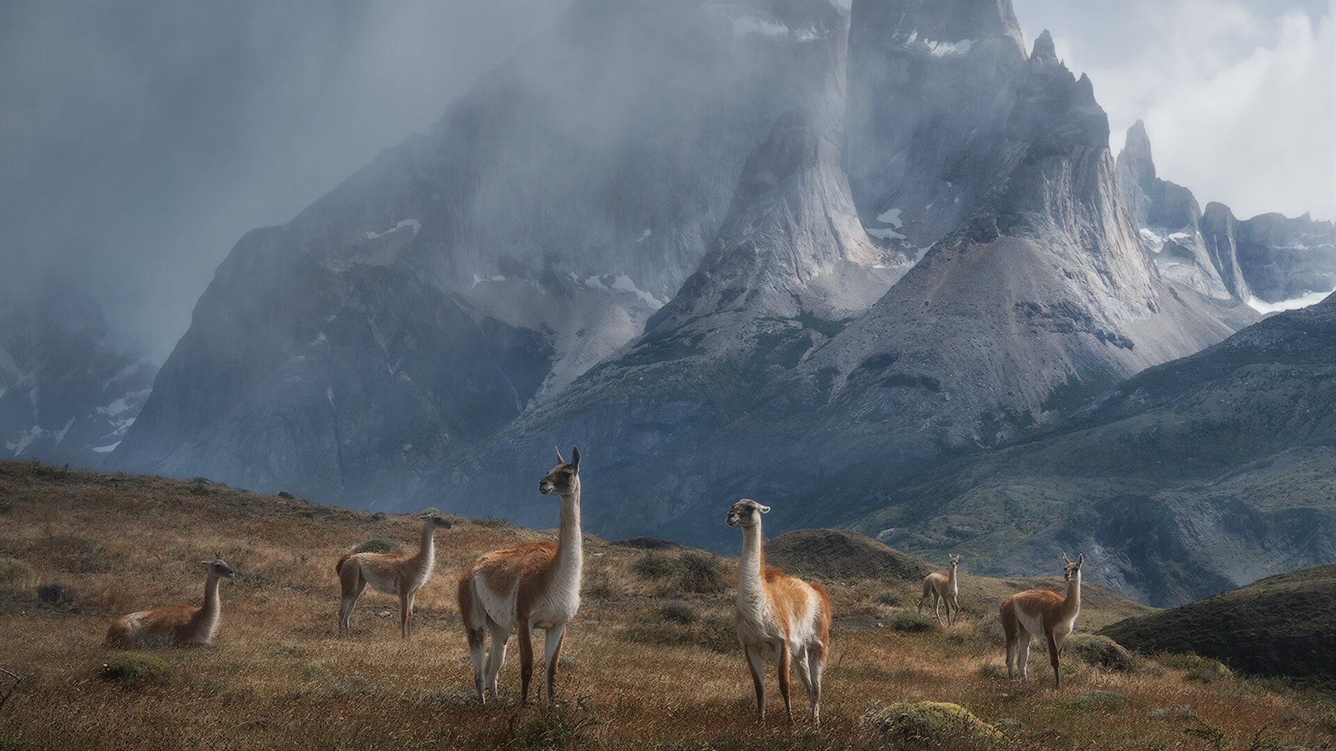 逆袭的脚本与统治的剧本，当马来西亚掀起风暴，陈雨菲定义火热