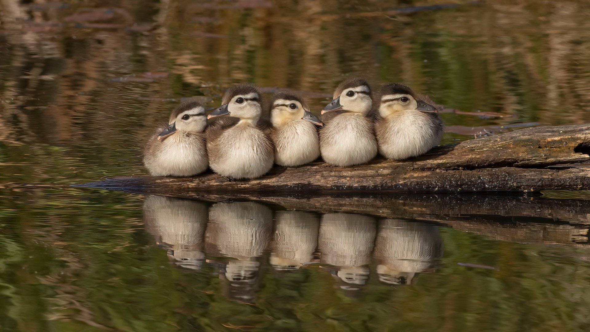 爱游戏体育-38分逆天改命！回顾NBA史上最伟大翻盘，绿军如何在绝境中击碎活塞铁壁