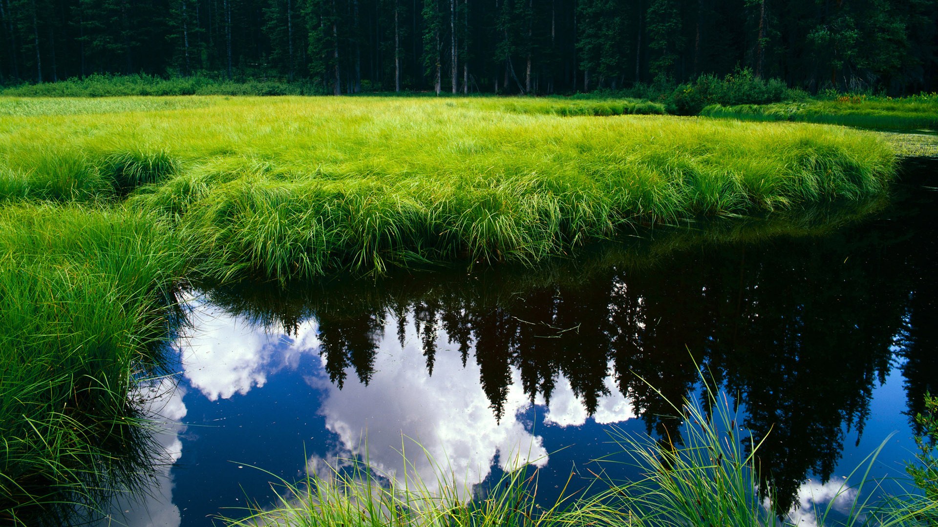 球场变形记，当雄鹿队力克深圳队，利拉德在欧冠决赛的篮球场上接管比赛
