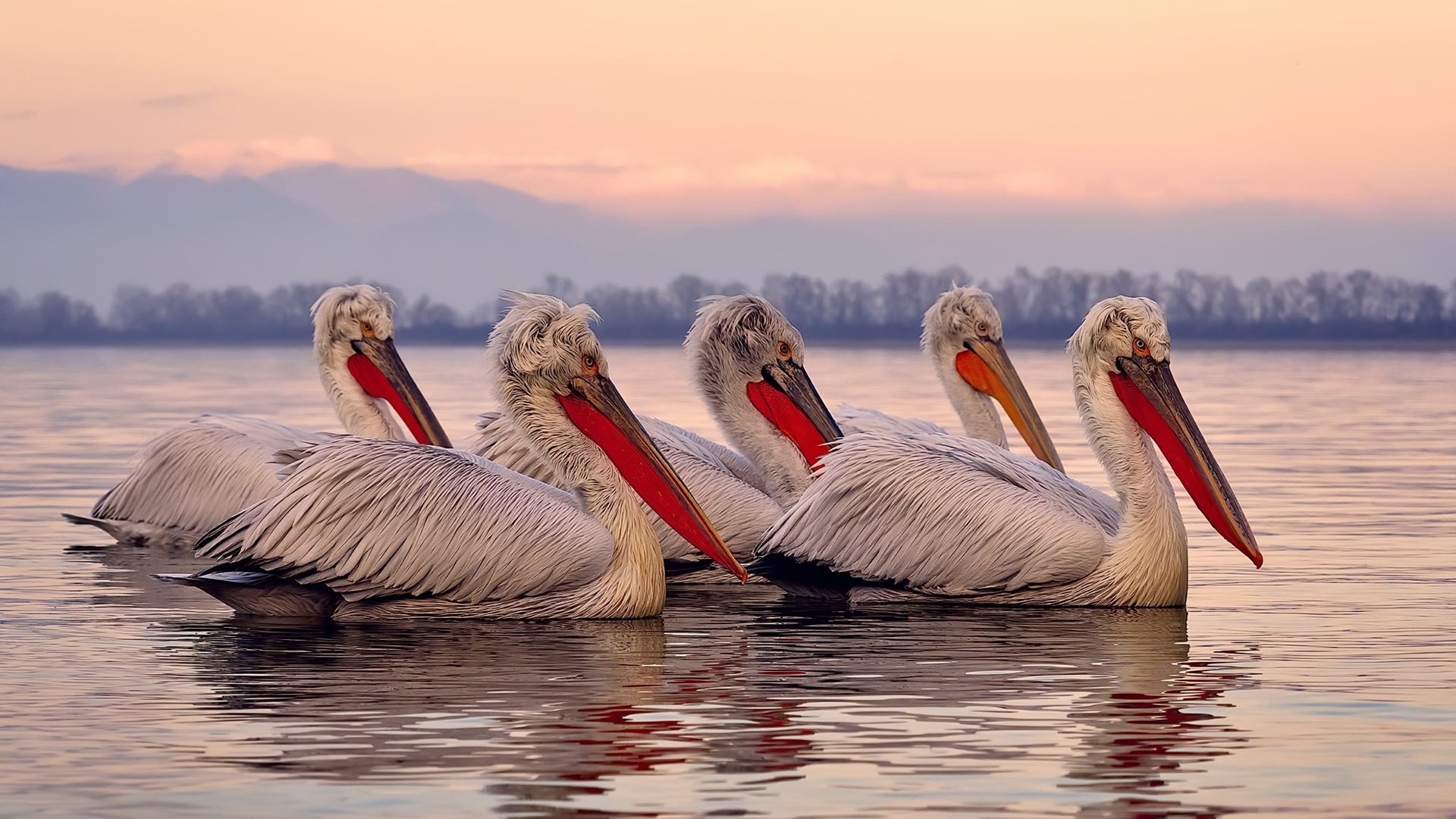 冰与火之歌，伊萨克用一脚踢碎智利足球的寒冬