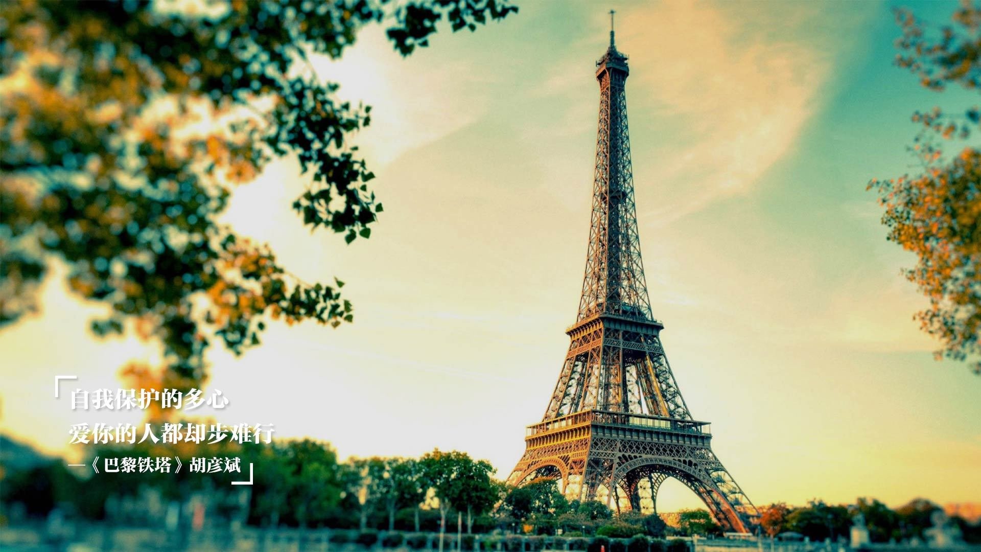 绿茵场上的降维打击,卡马文加十七分钟的魔法,与一场被提前终结的悬疑