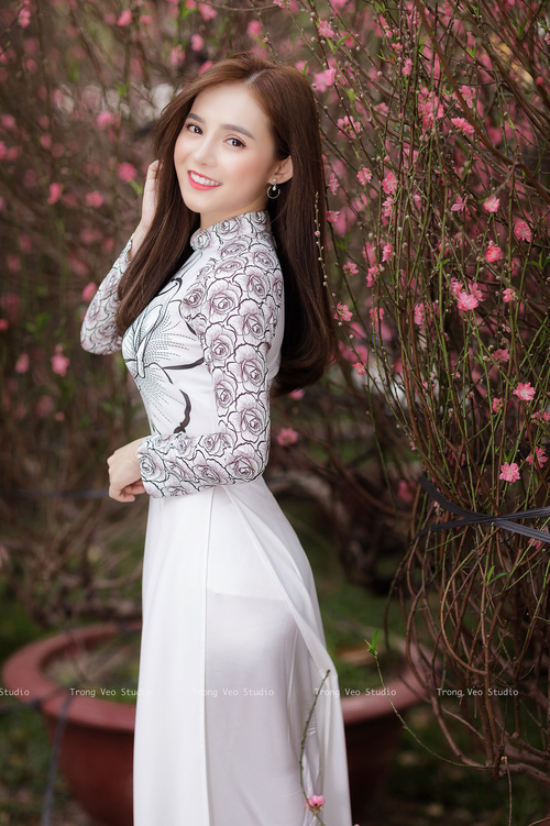 街巷与草场,两种野性的统治律动