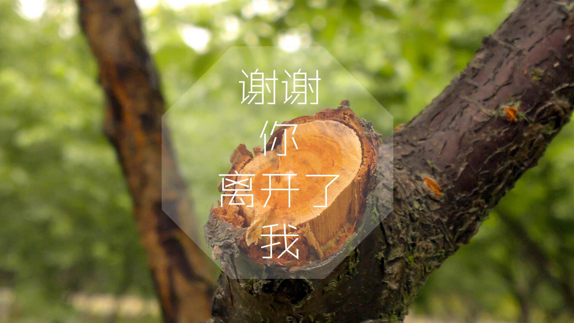爱游戏下载-沙漠之狐的致命獠牙，2026世界杯出线战，突尼斯压制乌拉圭，阿方索·戴维斯完成致命一击