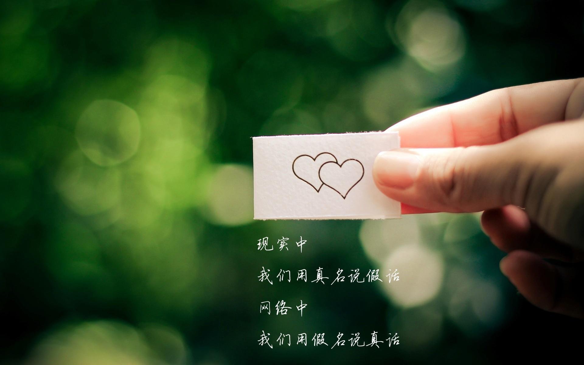 沙漠绿茵的征服,当凯恩的权杖点亮哥伦比亚的荣耀—2026世界杯A组焦点战深度解析